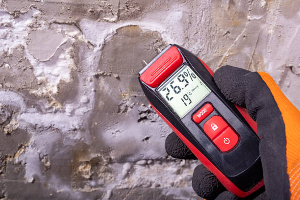 Best Kitchen Mold Remediation in Milmay, NJ